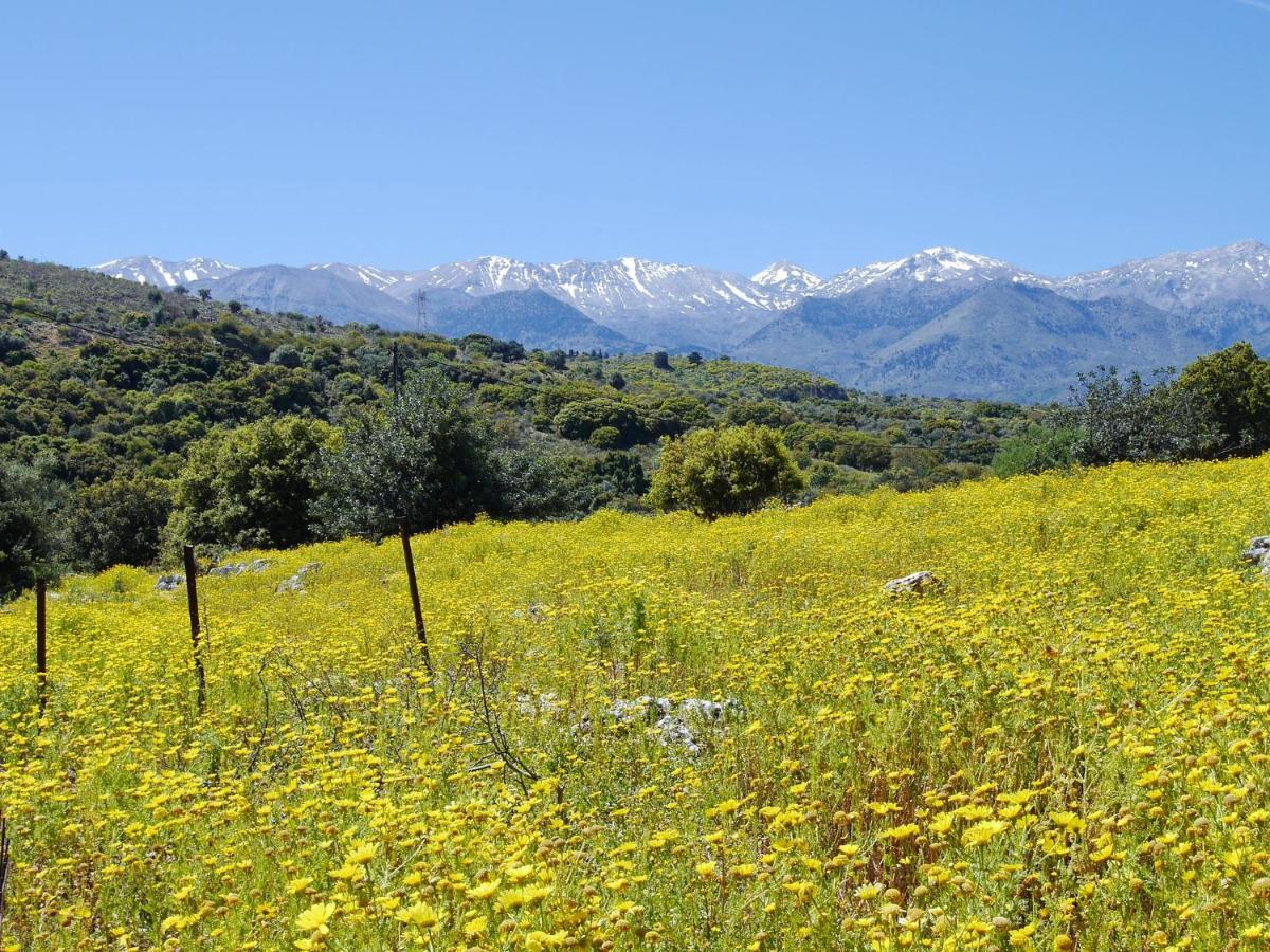 Villa Amvrosia Nr Kalives Crete Armenoi  Экстерьер фото